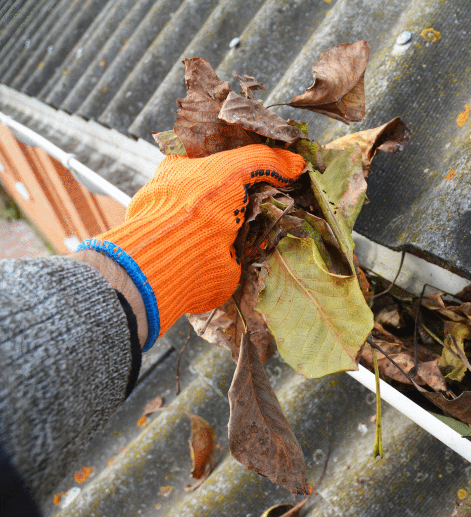 what we do gutter cleaning